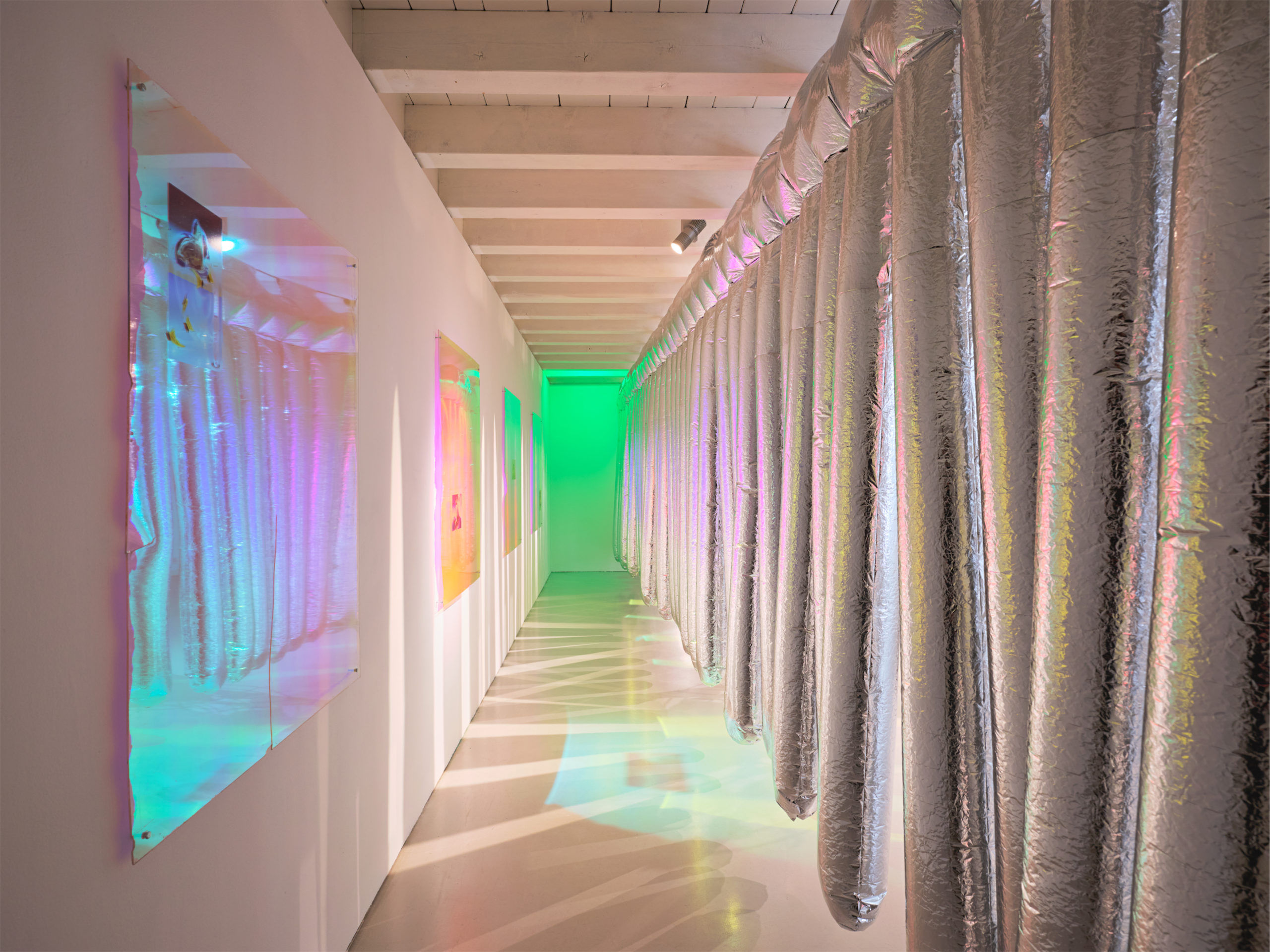 Installation de Flora Mottini, vue de l'exposition "Dandelion" à la Ferme de la Chapelle