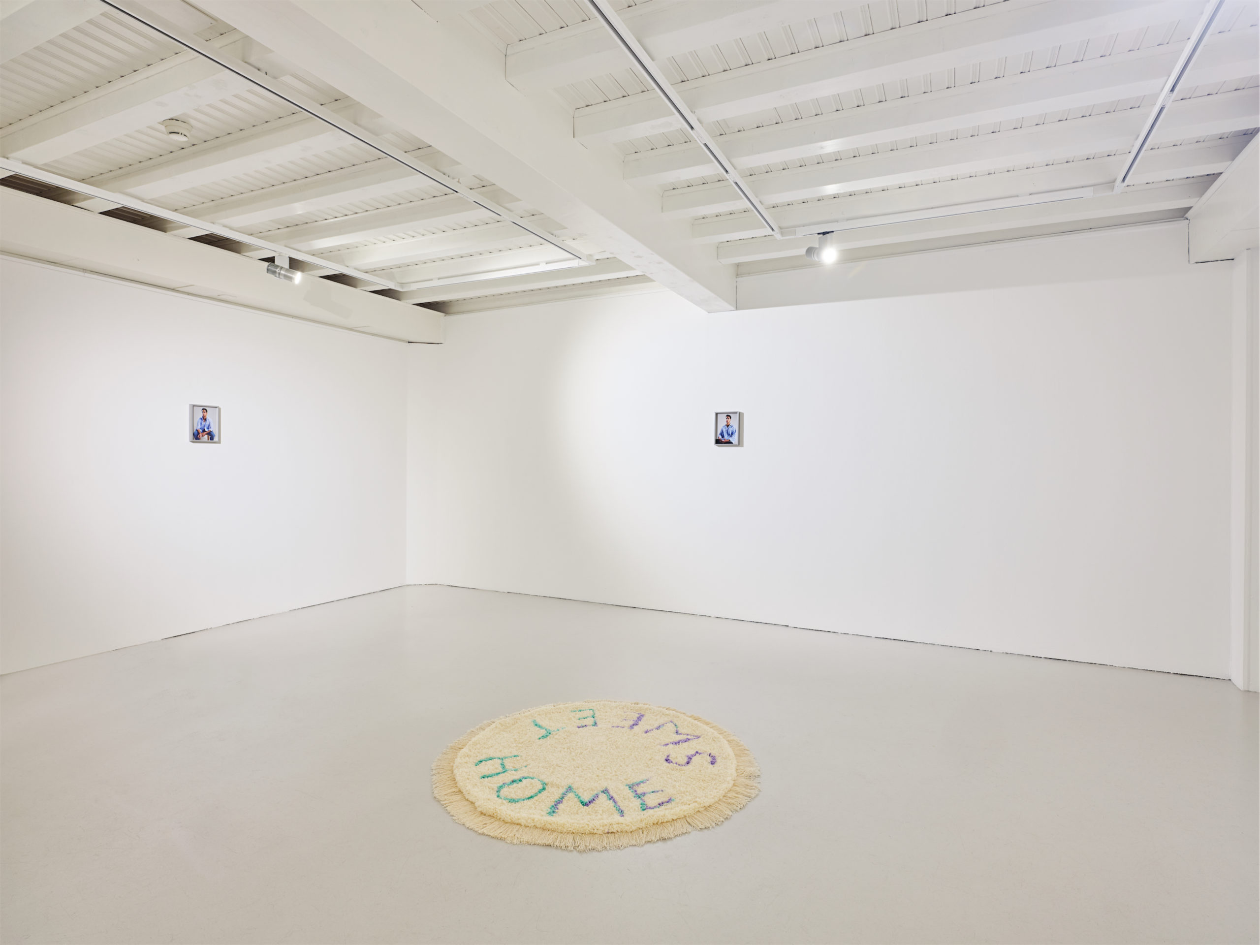 Installation de Camille Buhler , vue de l'exposition "Dandelion" à la Ferme de la Chapelle