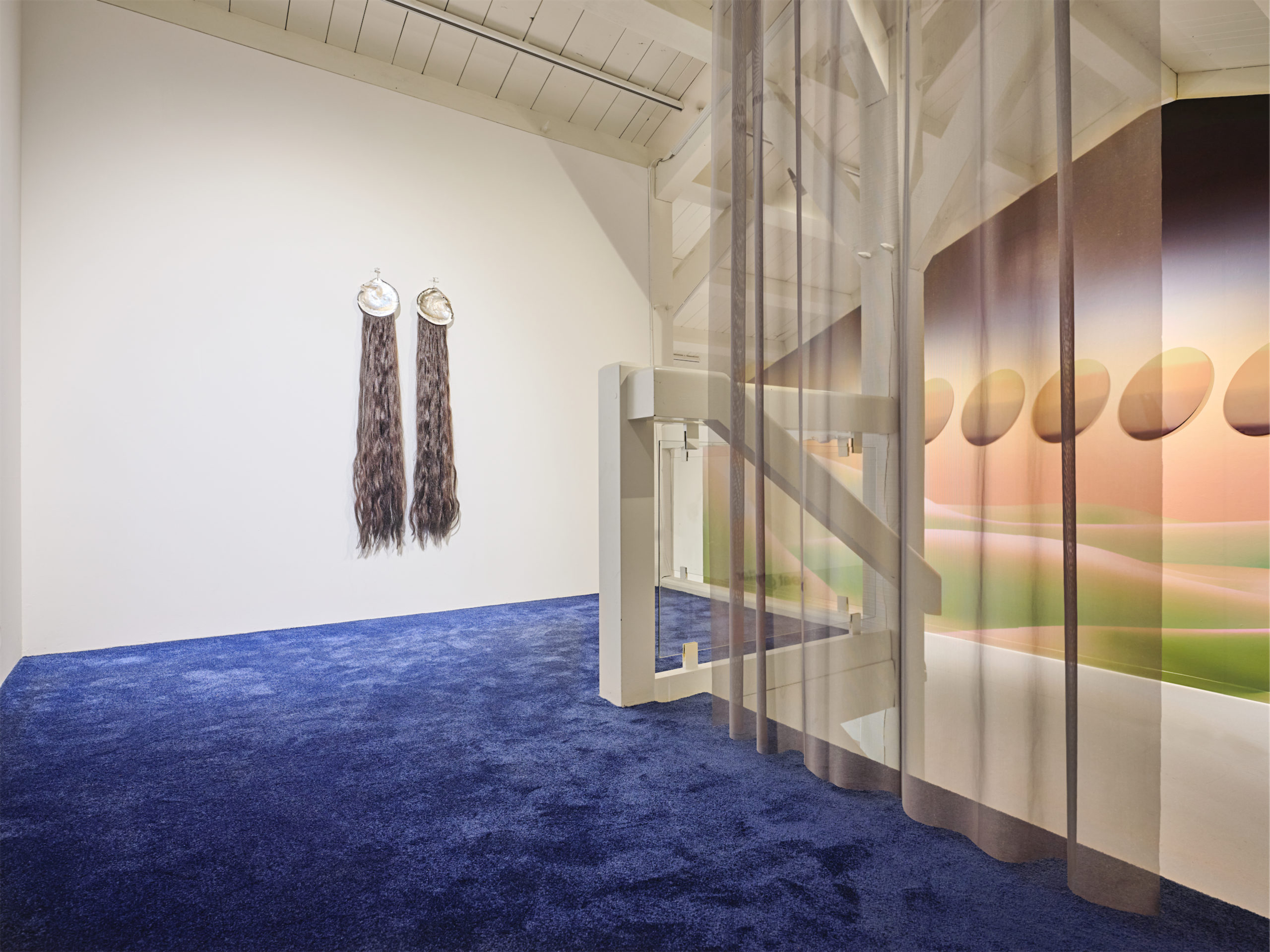 Installation de Camille Buhler , vue de l'exposition "Dandelion" à la Ferme de la Chapelle