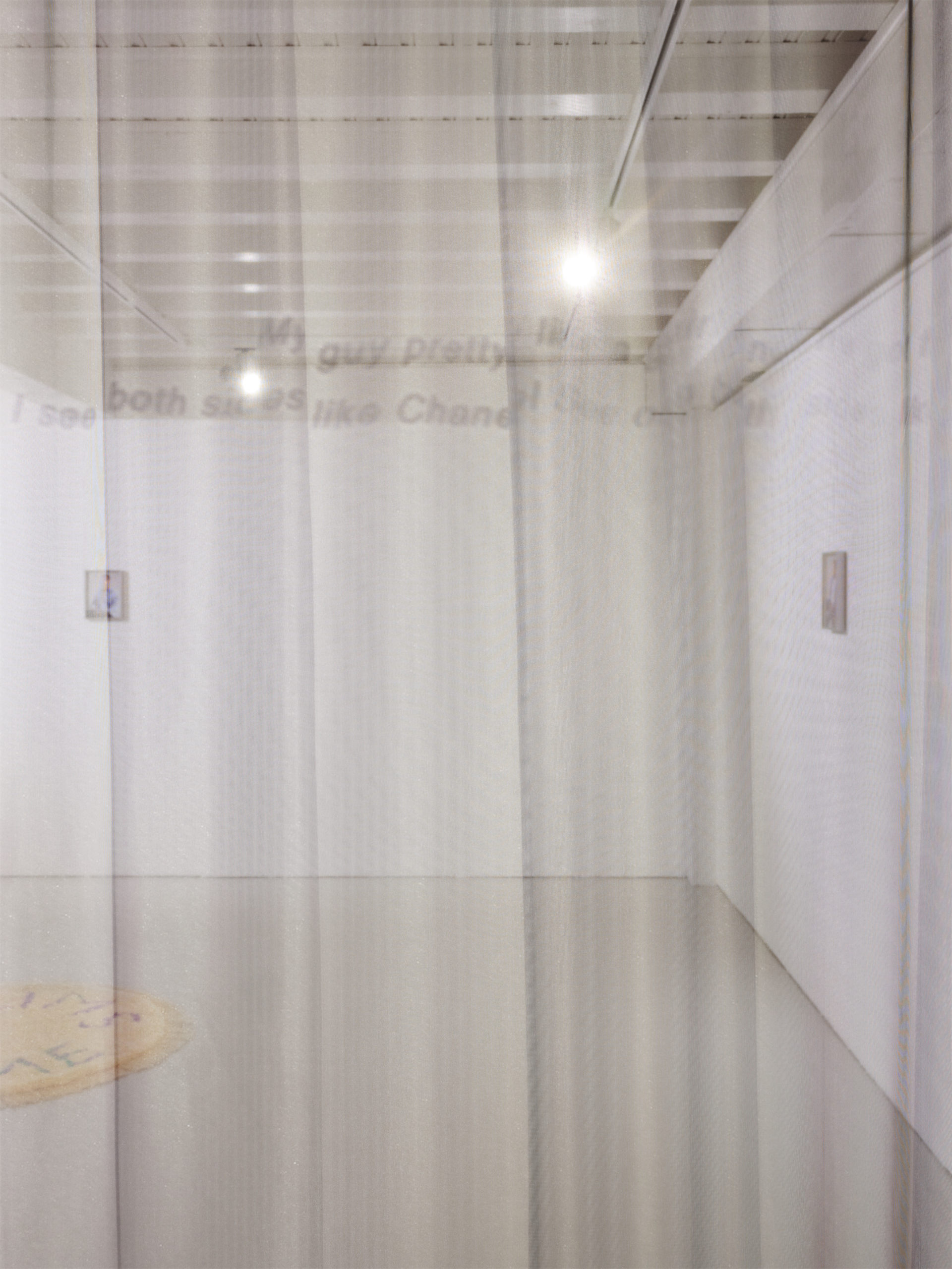 Installation de Camille Buhler , vue de l'exposition "Dandelion" à la Ferme de la Chapelle