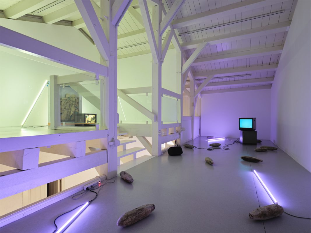 Vue de l'exposition "God Subject Meaning Money Phallus" de Raphaelle Mueller à la Ferme de la Chapelle