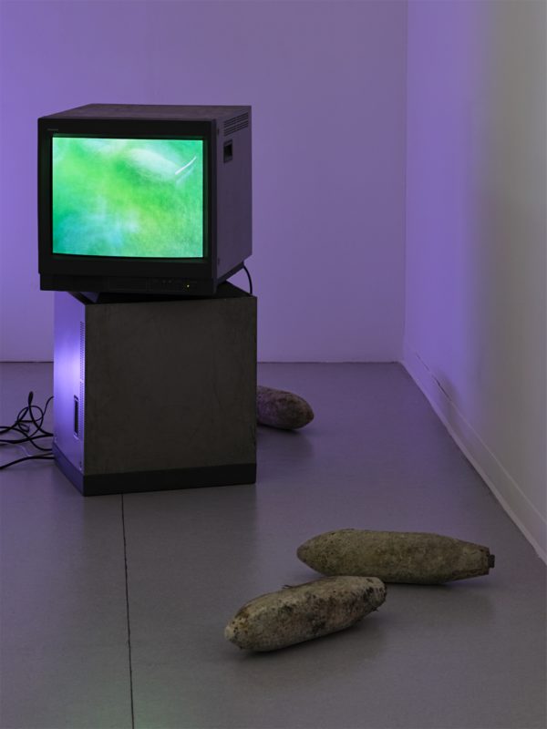 Vue de l'exposition "God Subject Meaning Money Phallus" de Raphaelle Mueller à la Ferme de la Chapelle