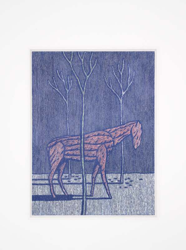Vue de l'exposition de Jérôme Stettler "Specimens" à la Ferme de la Chapelle