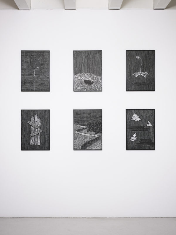Vue de l'exposition de Jérôme Stettler "Specimens" à la Ferme de la Chapelle