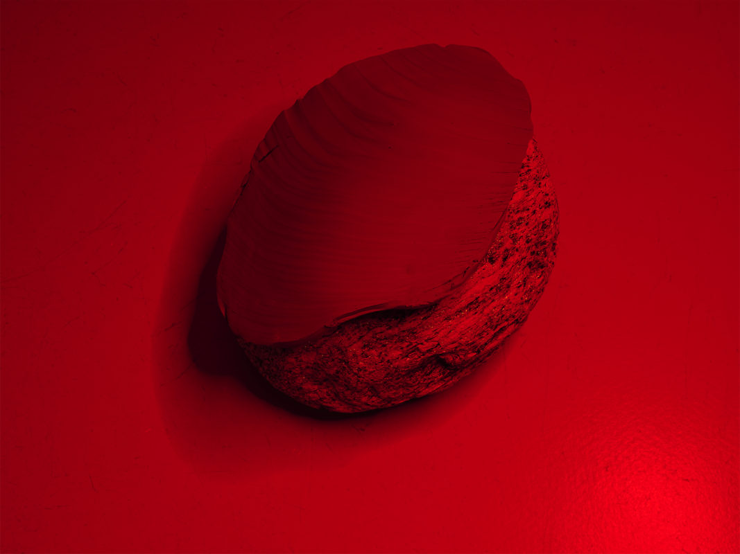 Détail de l'installation de Karim Forlin "Pietra sangue (d’après Fabio Pusterla)", vue de l'exposition "Pétrichor" à la Ferme de la Chapelle