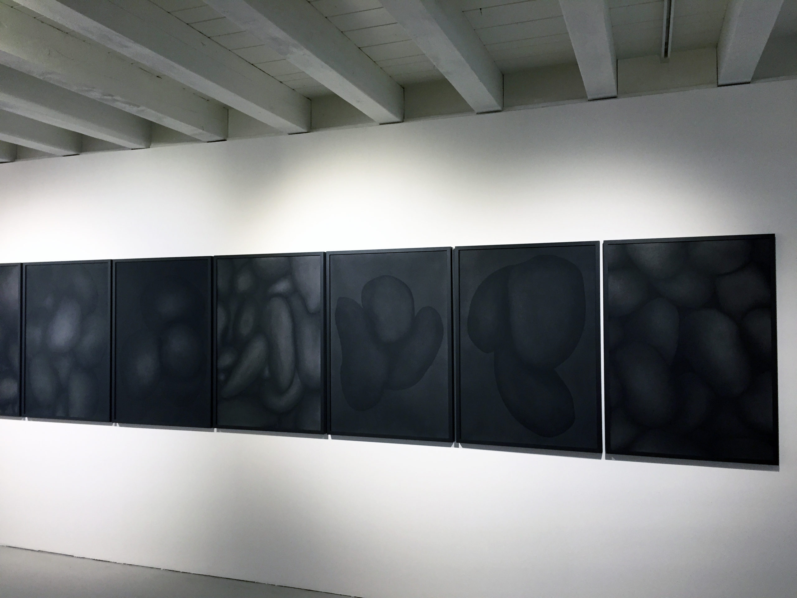Virginie Jaquier série "Under", vue de l'exposition "Entrailles" à la Ferme de la Chapelle