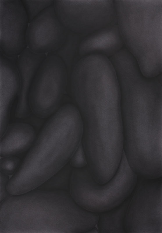 Virginie Jaquier série "Under", vue de l'exposition "Entrailles" à la Ferme de la Chapelle