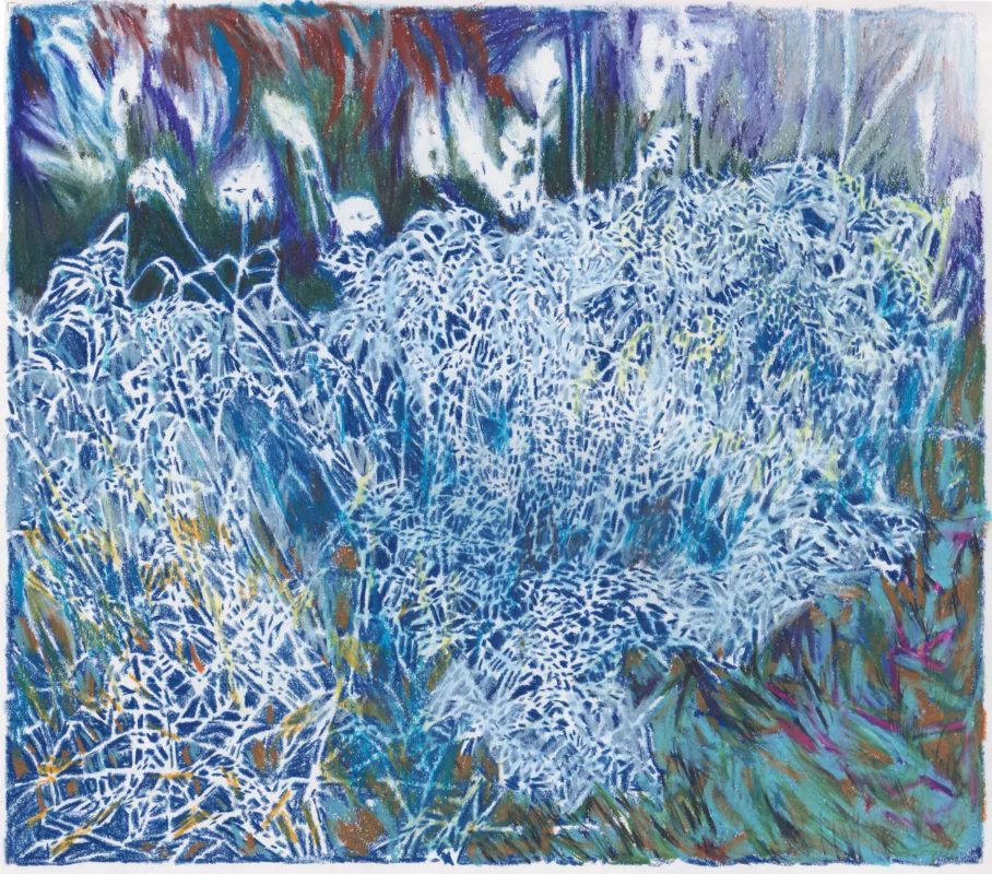 Jessica Decorvet, Red grass