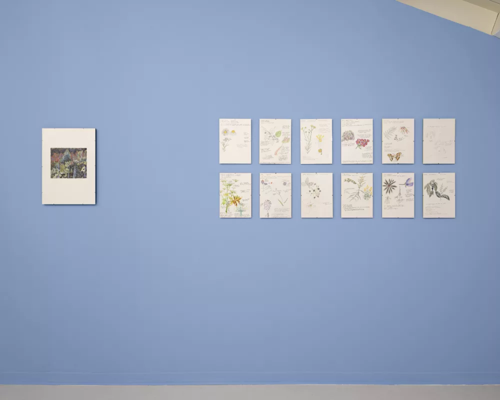 Elles prennent la place qu'on leur donne, 2025, dessins