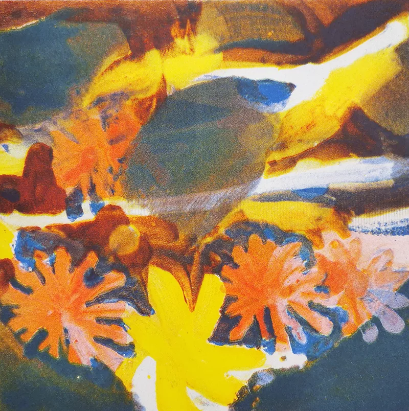 Extrait de l’œuvre Néophytes de Jessica Decorvet, impression en risographie