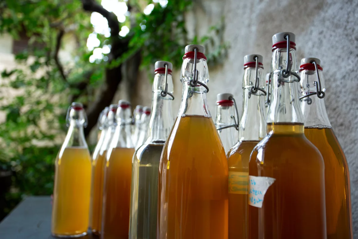 Atelier de kombucha à la Ferme de la Chapelle avec Byungseo Yoo. Préparations de base. Photo Eva Valenzuela