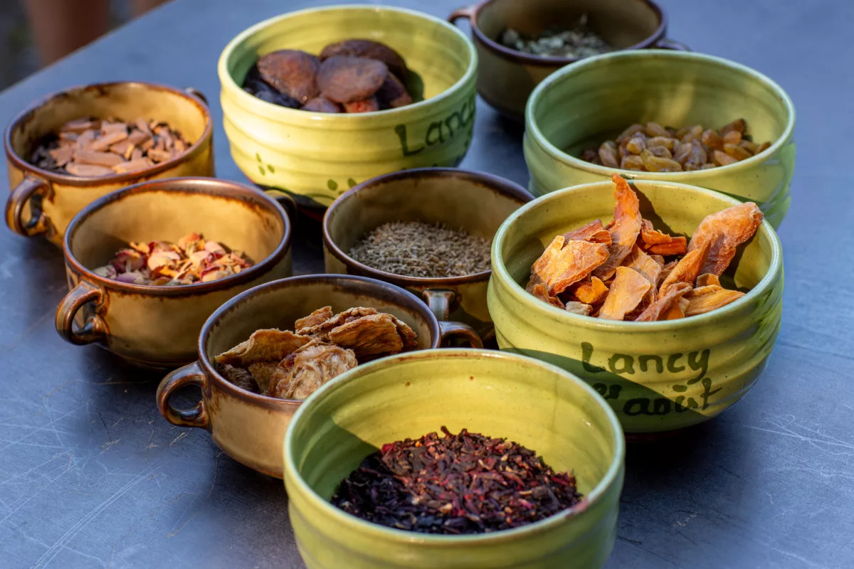 Atelier de kombucha à la Ferme de la Chapelle avec Byungseo Yoo. Ingédients d'aromatisation. Photo Eva Valenzuela