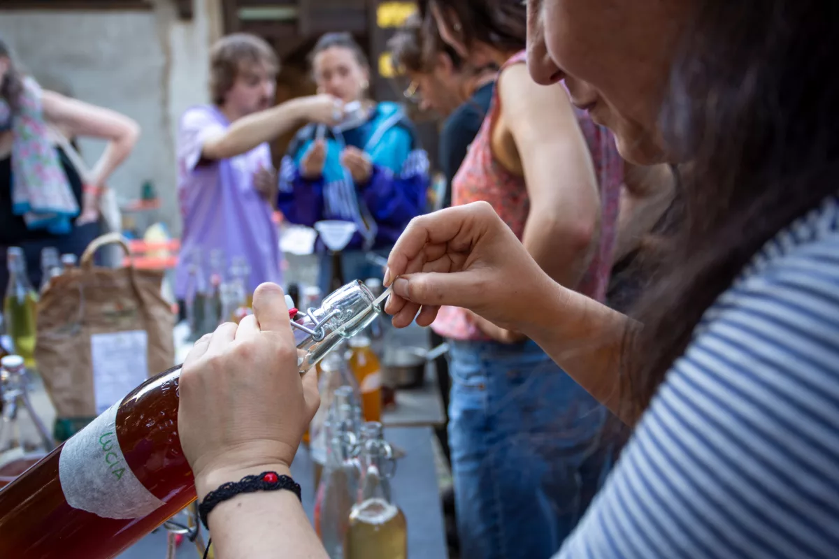 Atelier de kombucha à la Ferme de la Chapelle avec Byungseo Yoo. Mesure du Ph. Photo Eva Valenzuela